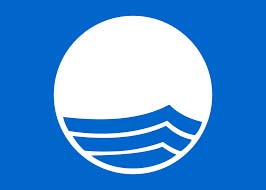 Logo_blue_flag